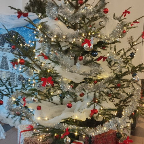 IMG 20251212&nbsp;135522 1