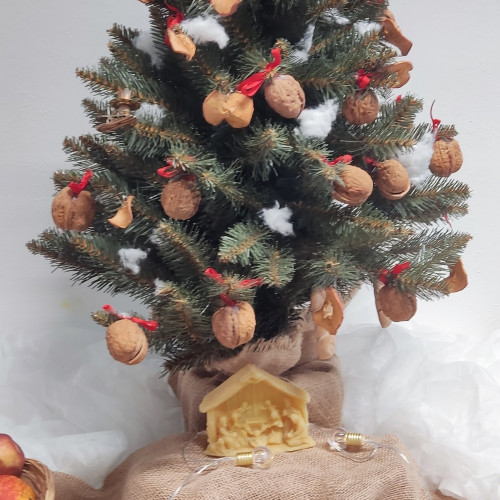 IMG 20251212&nbsp;143402 1